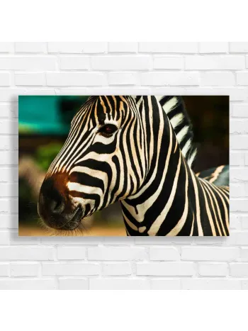 Bold Zebra Portrait Canvas Print - Wildlife Decor
