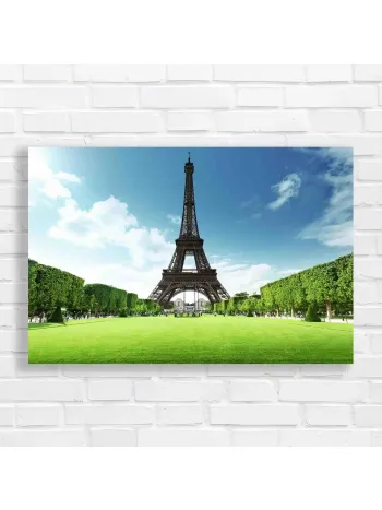 Eiffel Tower Paris France Green Field Canvas Print
